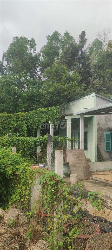 Nhà cấp bốn củ bán gấp