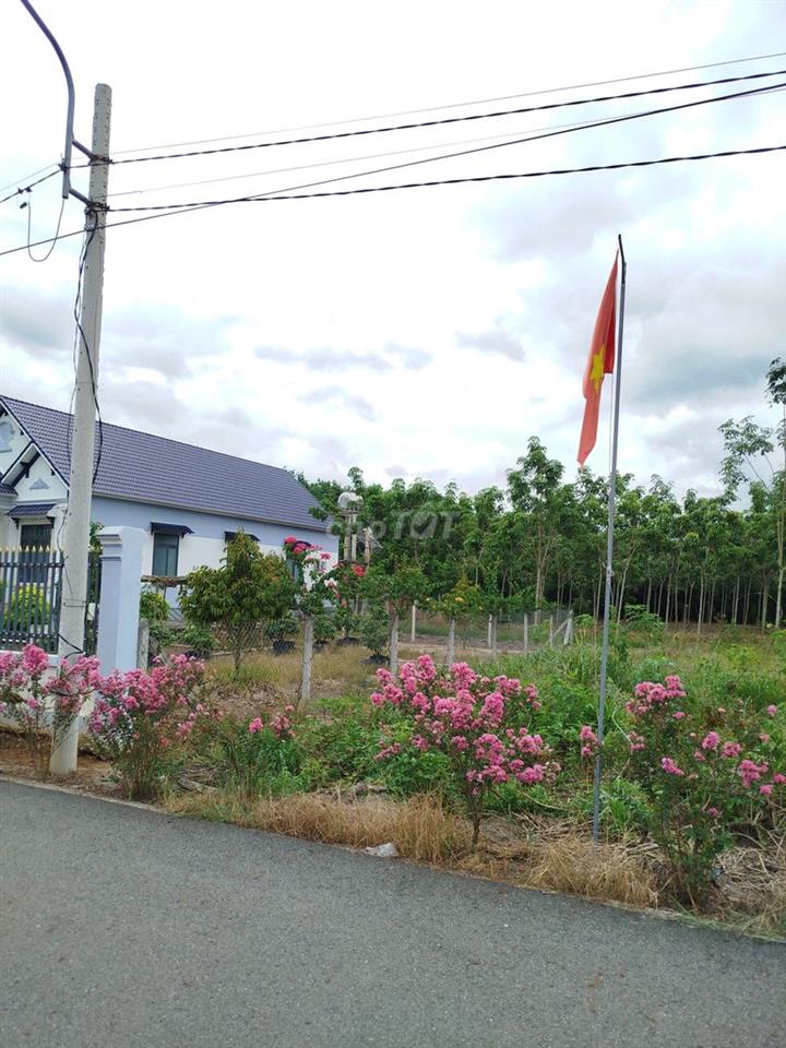 Bán đất thổ cư kế bên biệt thự, 277m2 sẵn 100mtc, có đèn, điện 3 pha