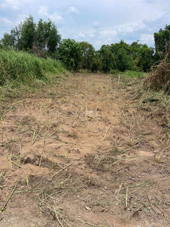 Bán 200 m2 đất thổ cư