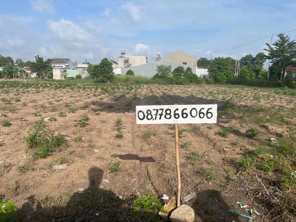 Đất thành phố cảng biển Phú Mỹ