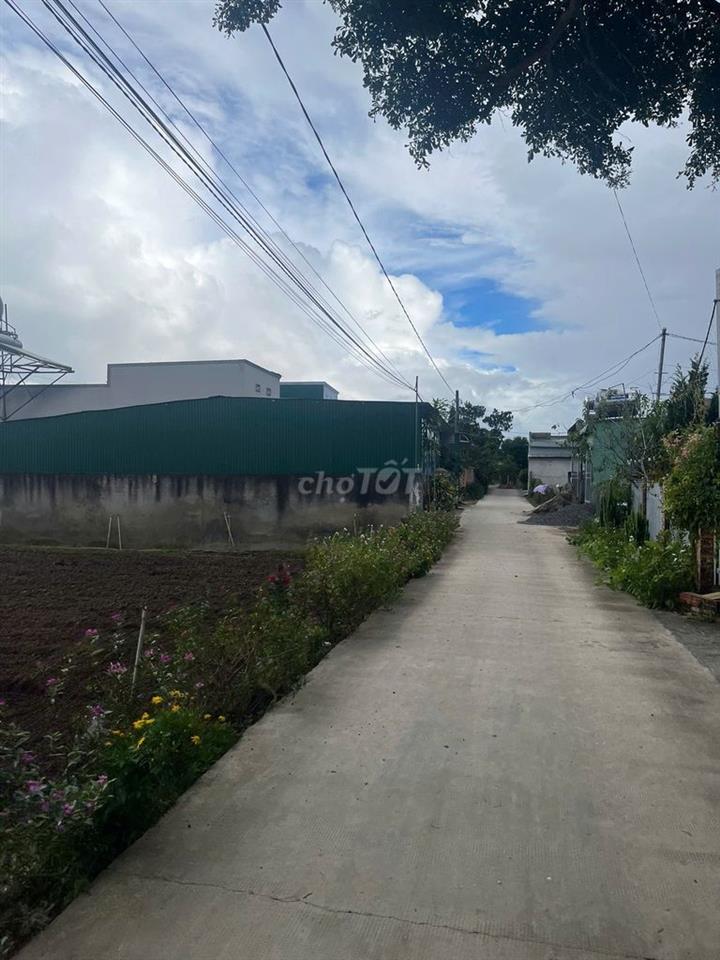 CHÍNH CHỦ BÁN ĐẤT PHÚ HỘI – 127,7M² – 75,5M² THỔ CƯ – SỔ RIÊNG