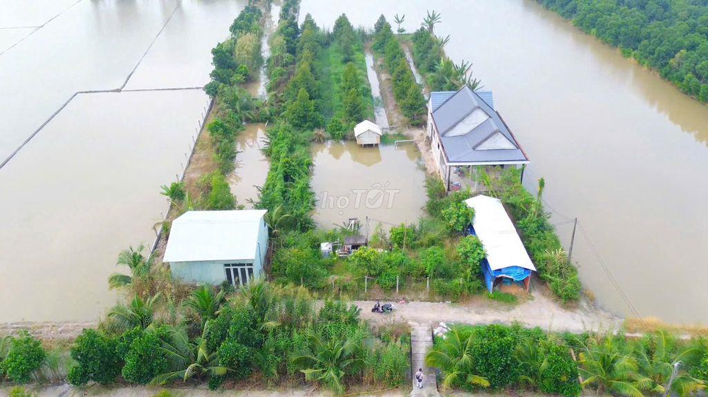 3000m2 sầu riêng tặng nhà mái thái long phước( sắp lên phường long hồ)