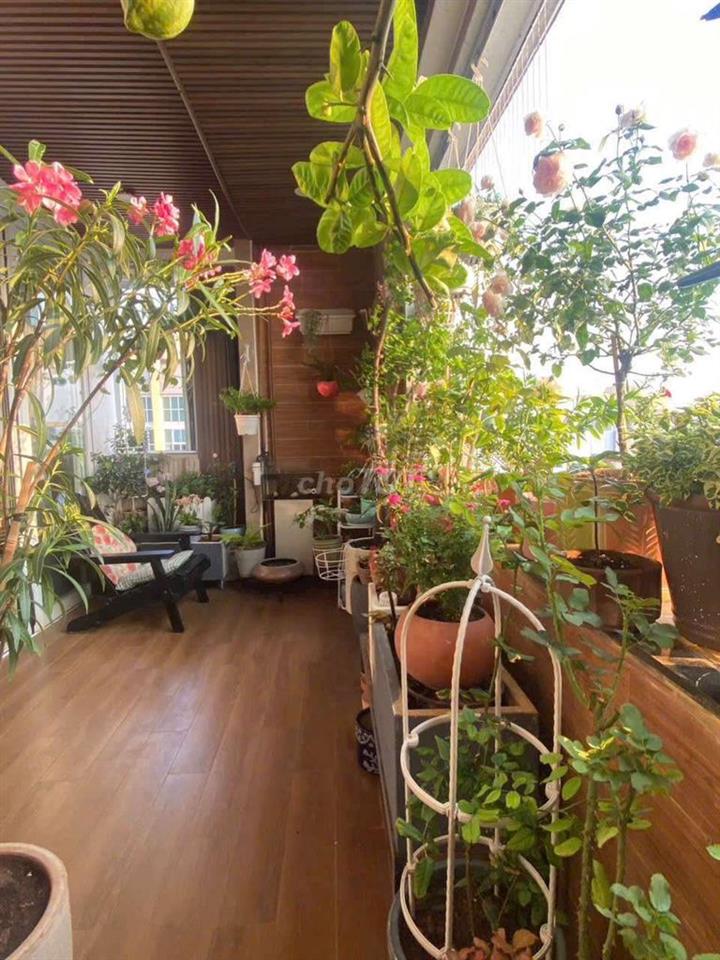 🌺Bán penthouse thông tầng*Shr fullNTCC*Cc BellezaQ7*Dt 185m2*9.5 tỷ
