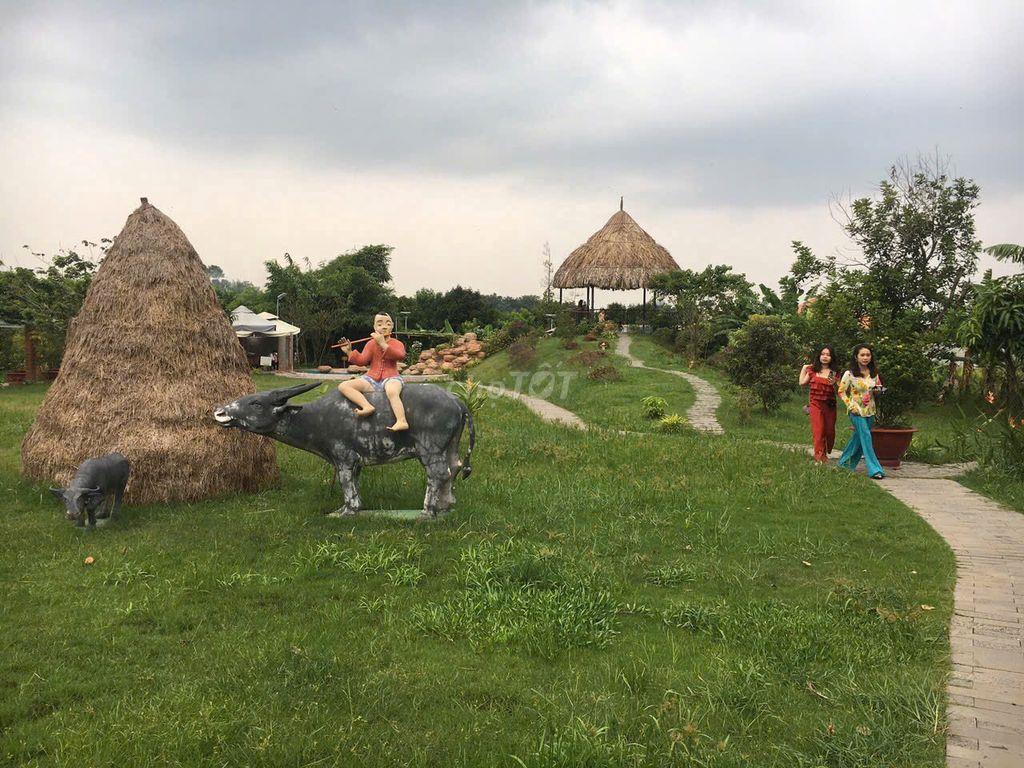 🔥 BẾN CÁT – GẦN 10.000m² 300m² THỔ CƯ FULL HỒNG, ĐÃ XÂY KHU VUI CHƠI