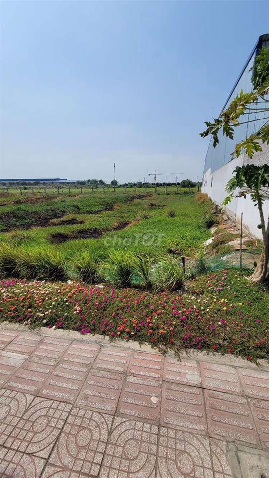 đất mặt tiền DT818 tuyến chánh từ QL1a và TT thủ thừ