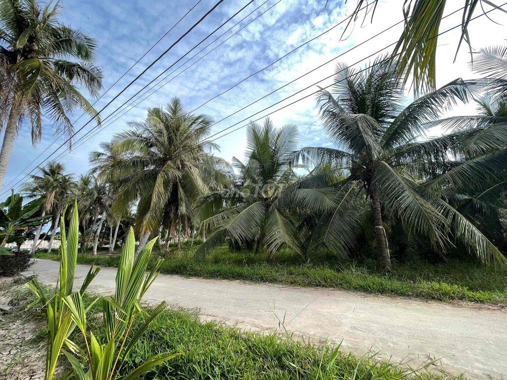 🌿 ĐẤT THỔ CƯ – GẦN CHỢ, GẦN TRƯỜNG 🌿