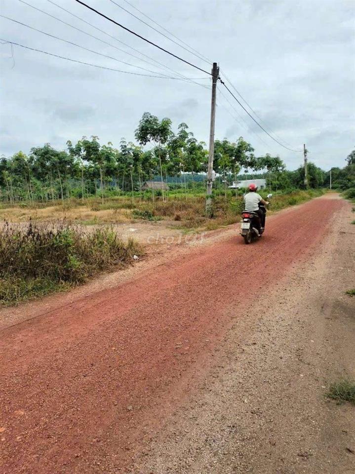 chính phủ cần bán mảnh vườn 1200m2 sẵn gần 200 thổ cư