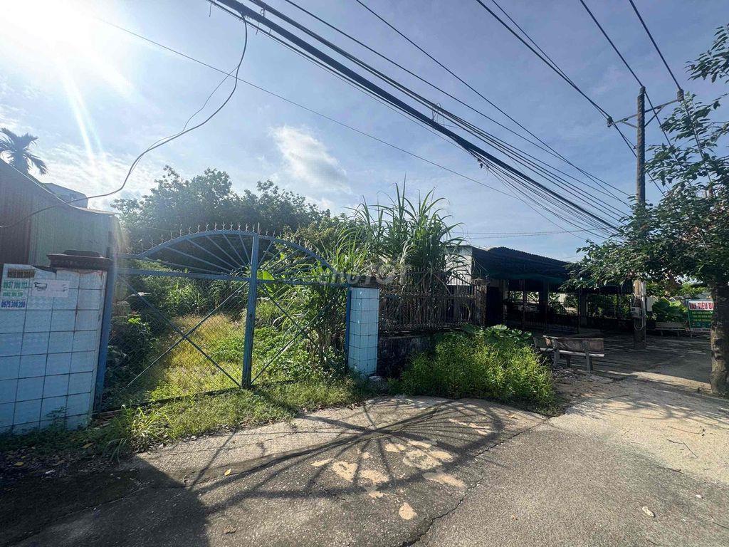 1,5ha Mặt Tiền Quốc Lộ 13 Lai Hưng , Bàu Bàng giá 2tr/m2.