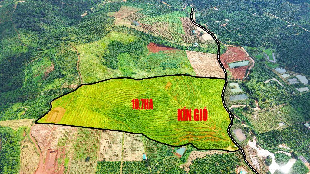 10,7ha bazan đất kín gió, điện nước đầy đủ tại Đắk Nông