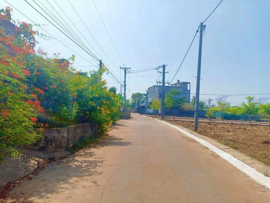 Chính chủ cần bán gấp đất mặt tiền Sông Trầu 23