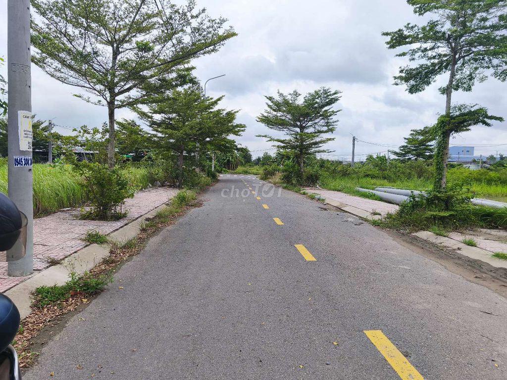 chính chủ cần bán đất ở Long Cang vị trí đẹp thuận tiện giao thông