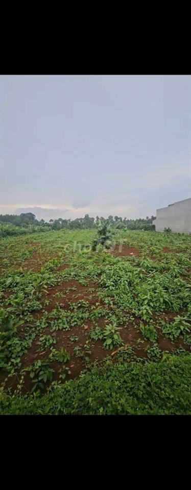 đất tphcm 1000m2 chỉ 1ty190