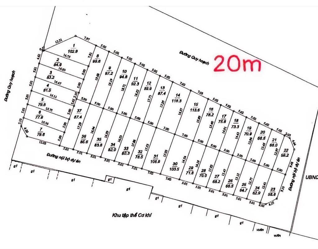ĐẤT ĐẤU GIÁ THÔN VÀNG – GIA LÂM ĐƯỜNG 2 Ô TÔ TRÁNH VỈA HÈ GIÁ 105TR/M²