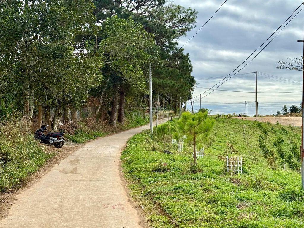 344m2 đất Nam Ban, ven Đà Lạt sẵn 100m2 thổ, cách đường nhựa lớn 70m