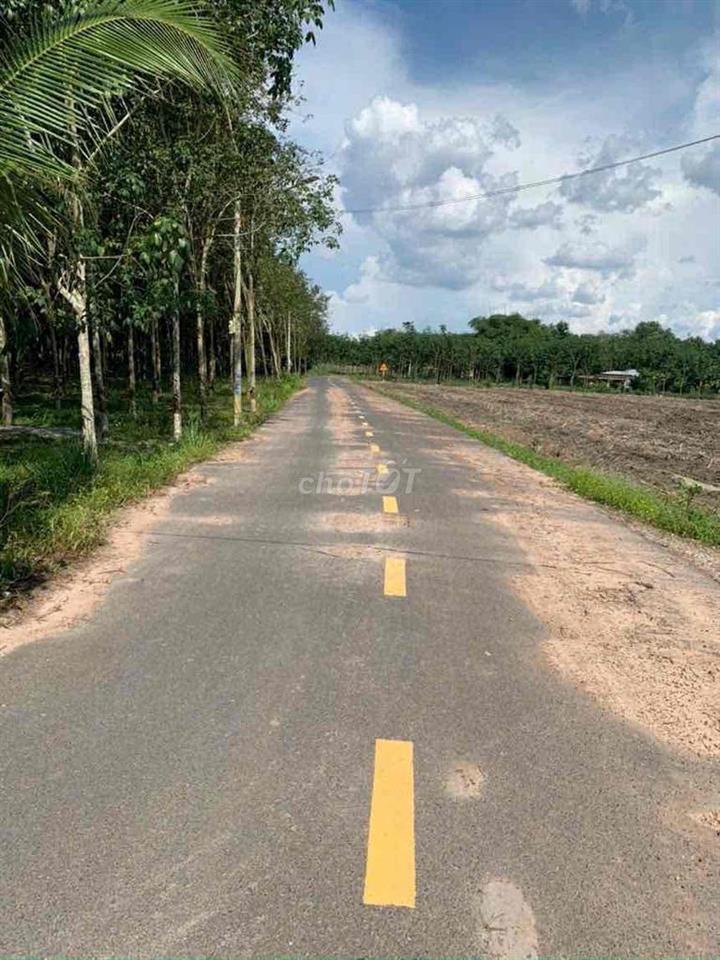 Bán Đất Chính Chủ