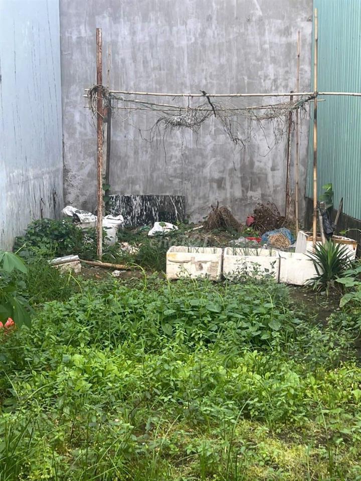 BÁN ĐẤT 1/ THẠNH LỘC 15