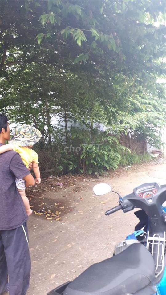 bán đất khu phân lô 9 rùa