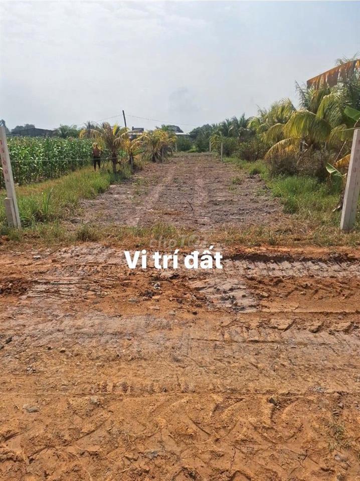 5x50 Full Thổ cư