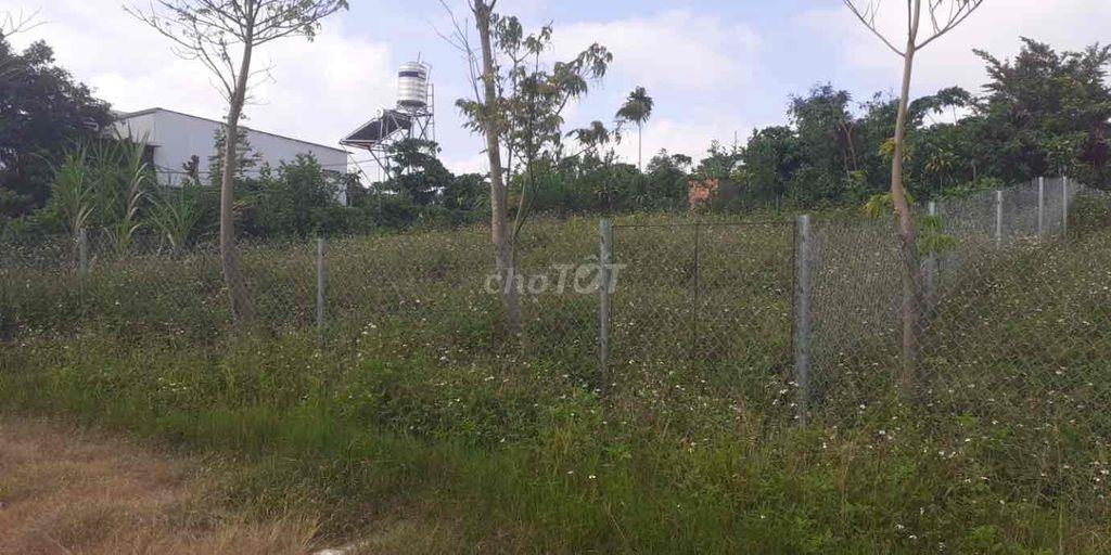 Cẩn bán đất phía sau Trường Học Hồng Bàng( Đinh Công Tráng)