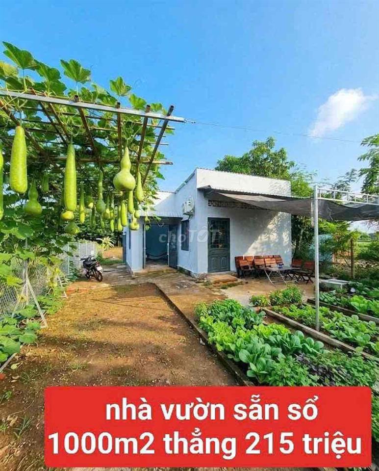 mảnh vườn tâm huyêt 1000m1