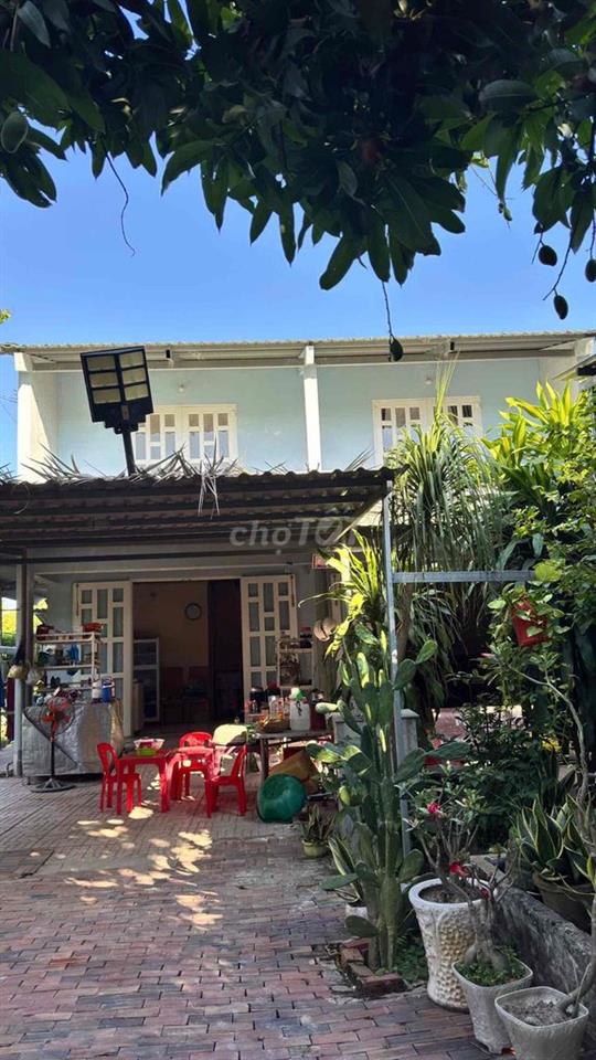 🏡 Chính chủ cần bán đất vườn đang trồng sầu riêng 4 năm tuổi đang trái