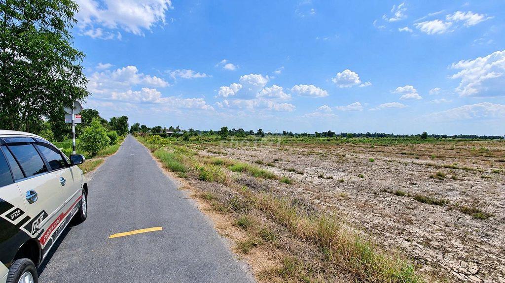 CẦN BÁN ĐẤT THỔ VƯỜN ĐẸP – TÂN PHƯỚC, TIỀN GIANG (ĐỒNG THÁP MỚI)