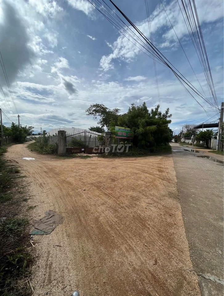 Bán 500m2 Đất Thổ Cư & TCLN đường Nguyễn Viết Xuân T.T Phước dân