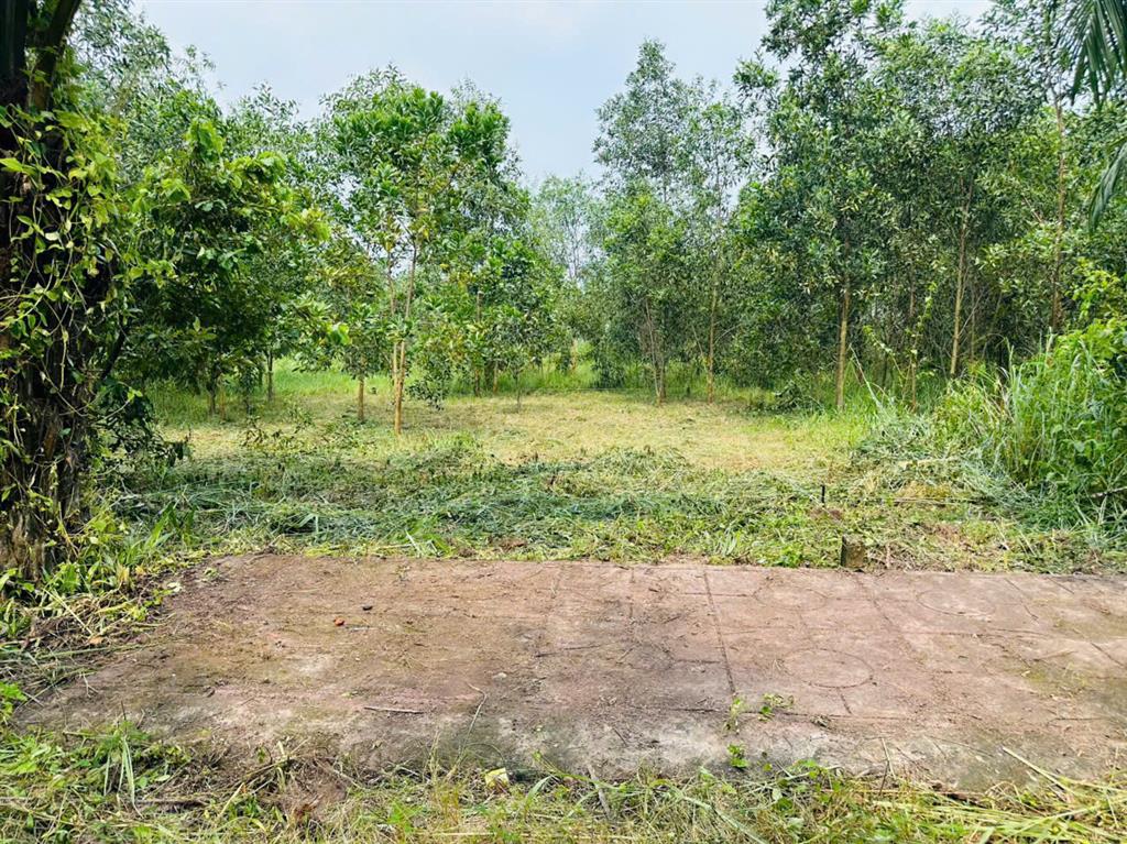CHÍNH CHỦ BÁN ĐẤT 100M² FULL THỔ CƯ – GIÁ 1,6 TỶ – XÃ AN VIỄN, ĐỒNG NAI