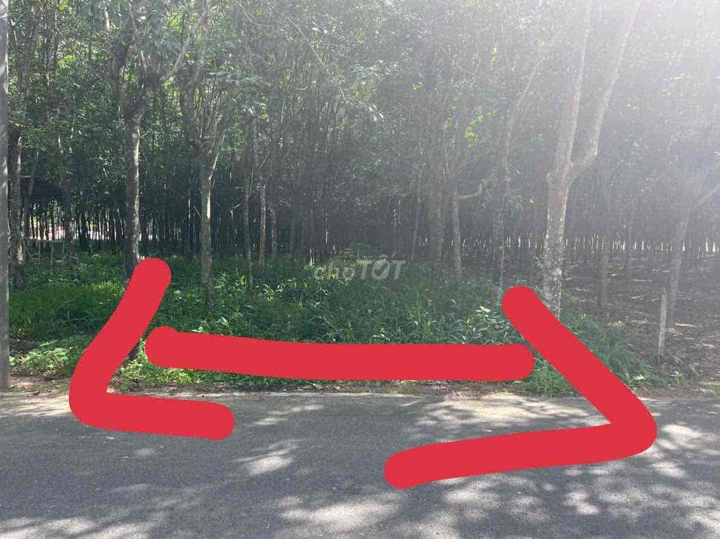 Chủ Đổ Nợ Cần Bán