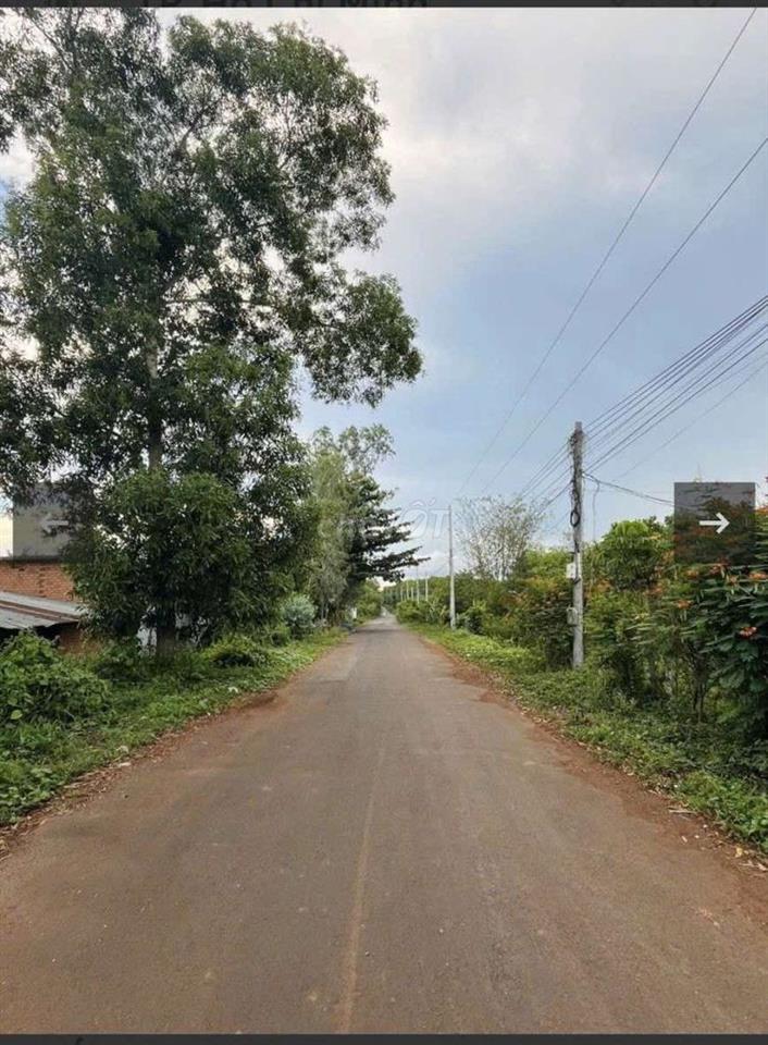 Bán 2Ha Có 300m thổ cư. Đất Mt Bầu Lâm