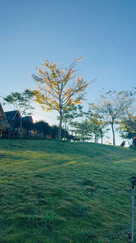 Bán Đất 500m2 có sẵn 200 m2 thổ cư giá 800 triệu tại đường Lý Thái Tổ Xã Lộc Tân Huyện Bảo Lâm Lâm Đồng