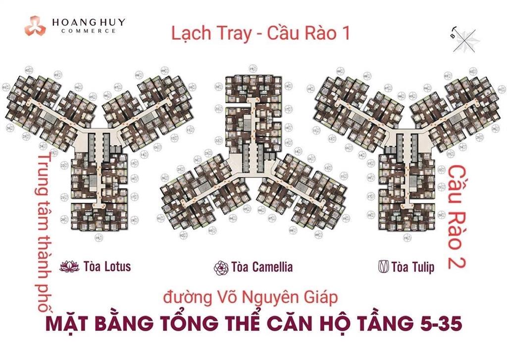 Hoàng huy commerce giá chỉ 43 triệu đồng/m2
