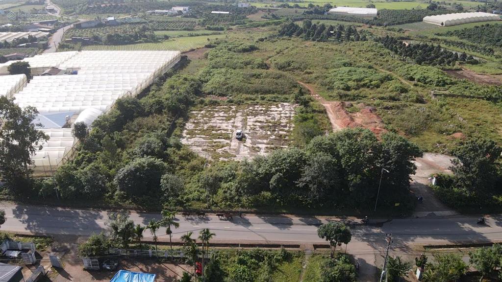 Quỹ đất 1,56 ha mặt tiền ql27 ưu thế đầu tư sản xuất nông sản kho bãi xưởng