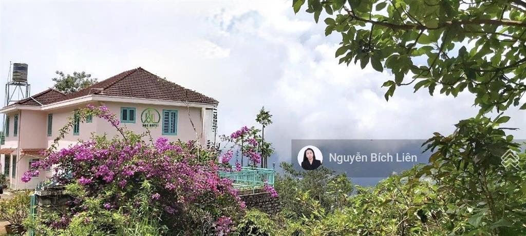 Chính chủ bán biệt thự cổ 2692m2 view săn mây siêu siêu đẹp tại trạm hànhđà lạt