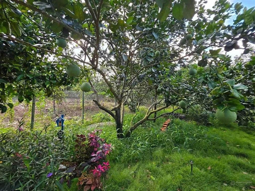 Bán lô đất vườn 1129m2, ngang 10m, dân đông, sau đất có giáp suối, giá bán 690tr