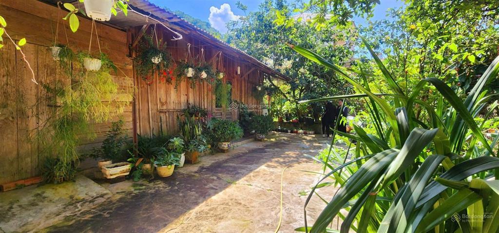 Khuôn đất lớn phường langbiang đà lạt, cách hồ xuân hương 10km mát mẻ trong lành quanh năm