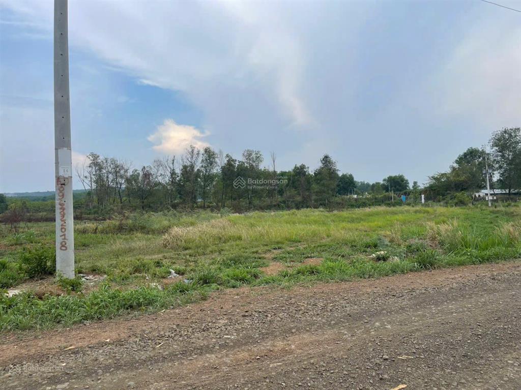 Đáo hạn ngân hàng cần bán gấp 1 sào (1029,3m2), dân cư đông, gần kcn việt nhật, giá 450 triệu