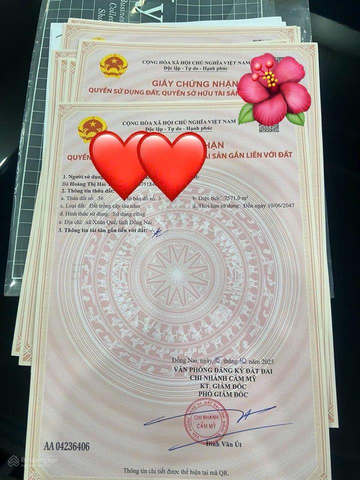 Chính chủ bán nhà vườn trái cây sầu riêng siêu vip 0904 433 ***