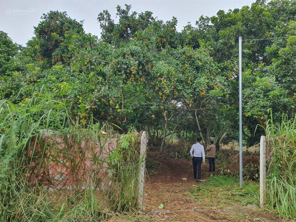 Ngân hàng thanh lý tài sản quỹ đất diện tích lớn tại bình lộc, đồng nai
