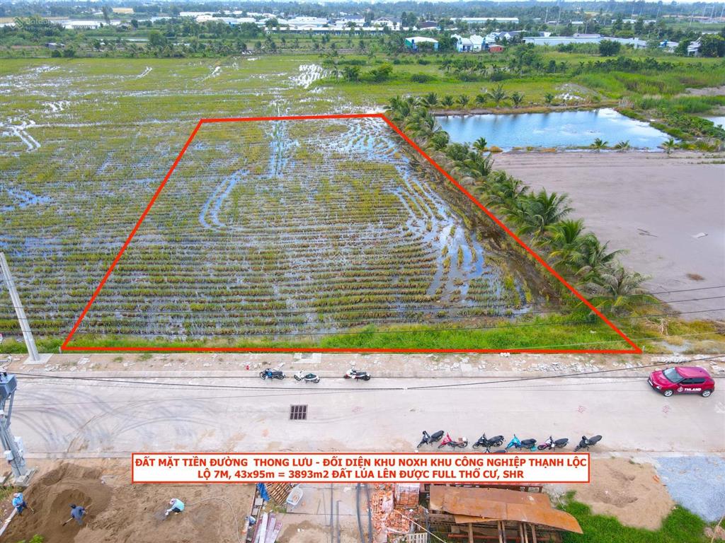 Đất mặt tiền đ. thong lưu đối diện noxh khu công nghiệp thạnh lộc. lộ 7m, 43x95m quy hoạch thổ cư