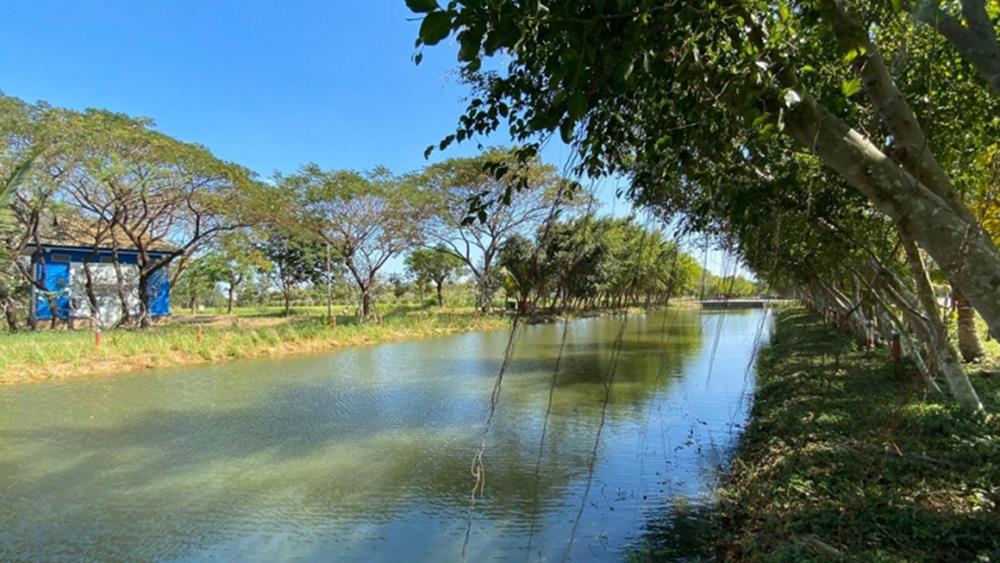 Bán biệt thự đơn lập chính chủ đã có sổ hồng, hỗ trợ vay ngân hàng