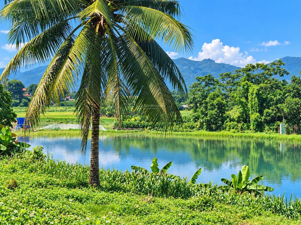 Bán 1.400m² đất trung tâm xã ba vì view hồ, đồng ruộng, núi đồi nhỉnh 2 tỷ