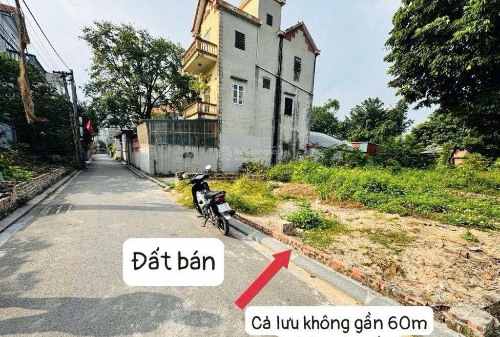Bán đất vân nội, phúc thịnh, đông anh 44m² mặt tiền rộng ô tô vào đất giá 2,15 tỷ