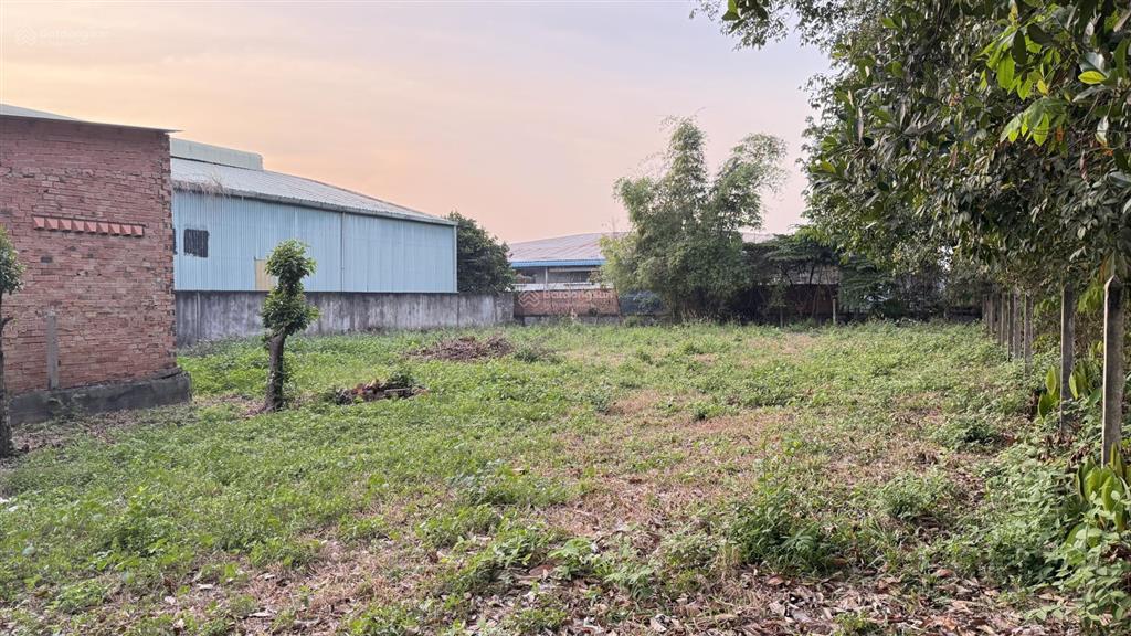Bán đất sát đường nguyễn kim cương, xã tân thạnh đông, củ chi, 1416m2, full thổ,