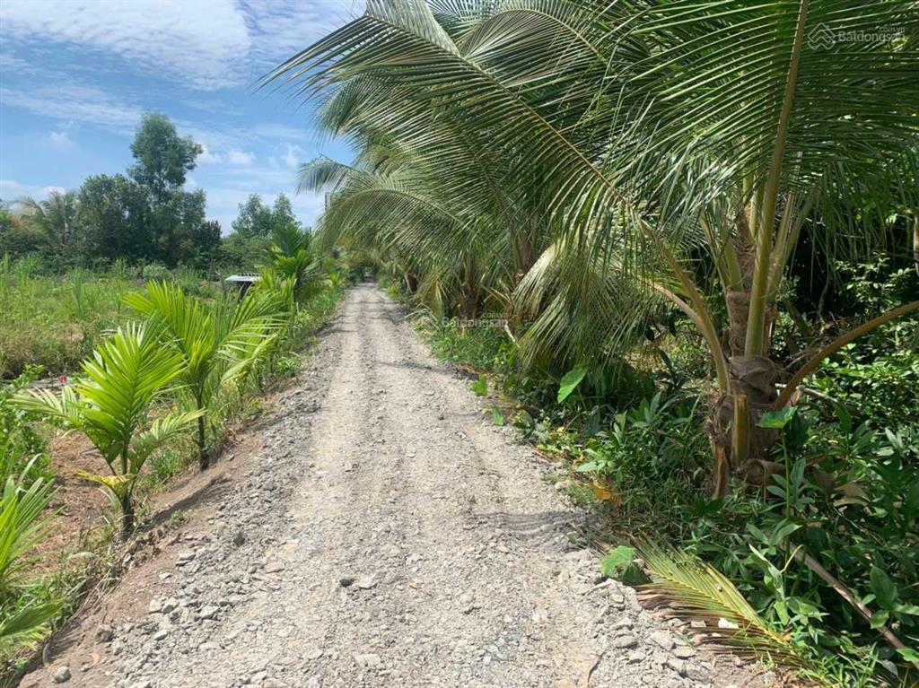 Cần tiền hạ giá bán lỗ 1480m2 đất full thổ cư xã hòa khánh tây, đức hòa long an (chỉ 1,7tr/m2)