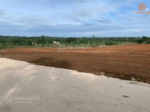 Bán 10.000 m² đất công nghiệp tại quế võ bắc ninh