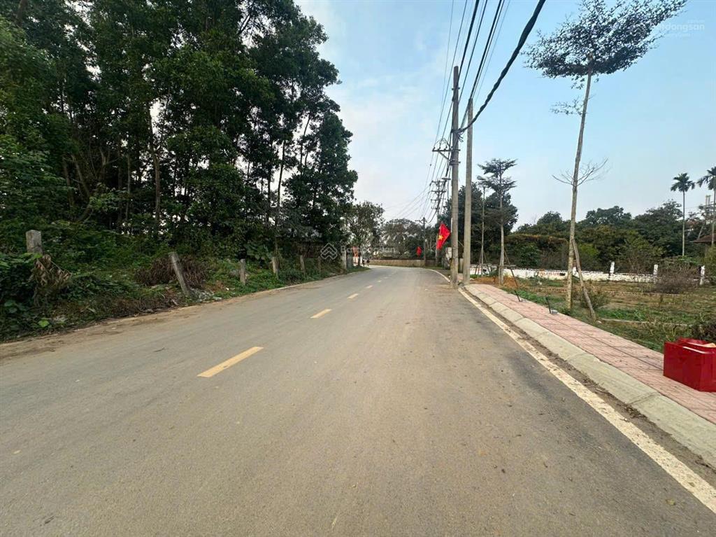 Chính chủ cắt lỗ bán đất tái định cư bắc phú cát 200m2 giá chỉ 72tr/m2