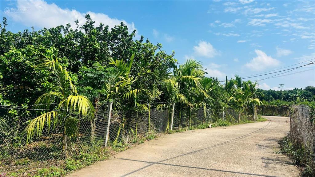Đất vườn thổ cư 200m2, ngang 20x50m, giá 980 triệu bình lộc long khánh đồng nai