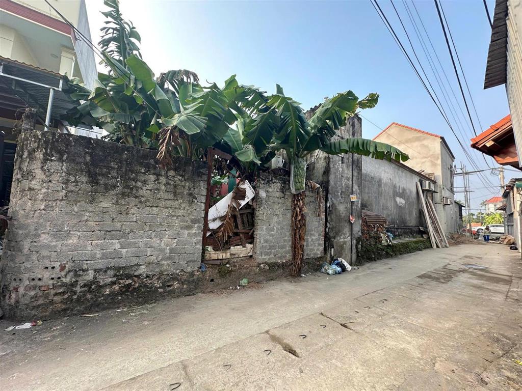 Chính chủ gửi bán đất năm trại, sài sơn, quốc oai.
