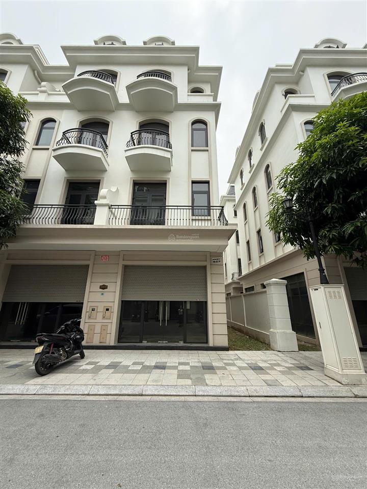 Bán sao biển xẻ khe giá đang thấp nhất thị trường, khách chậm tay là mất!